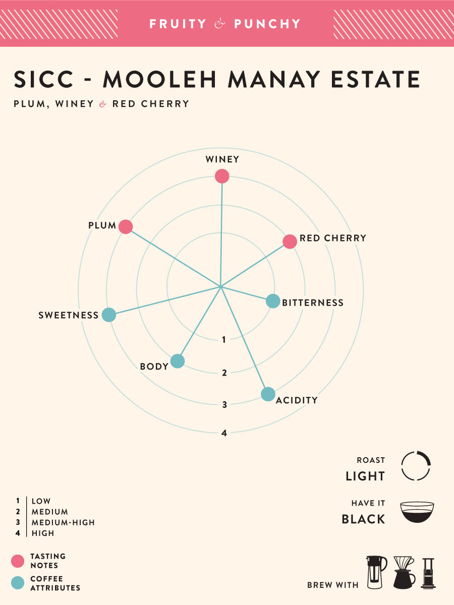 SICC Mooleh Manay Estate Ground for Pour Over 500g