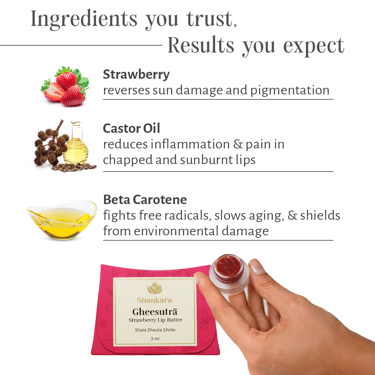 Gheesutrā Strawberry Lip Butter 10g