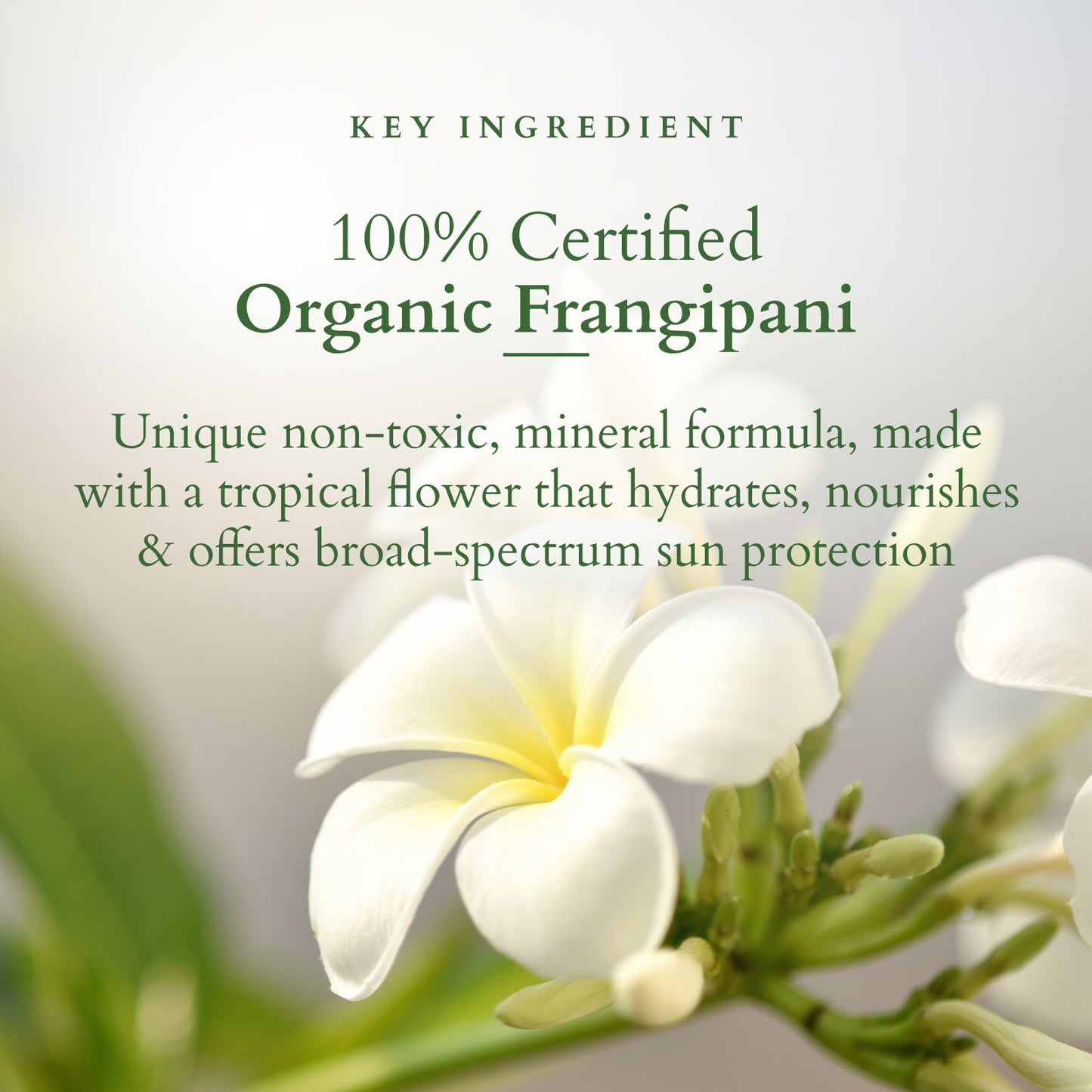 Organics+ Hydrating Gel Mineral Sunscreen SPF 30 PA+++ 