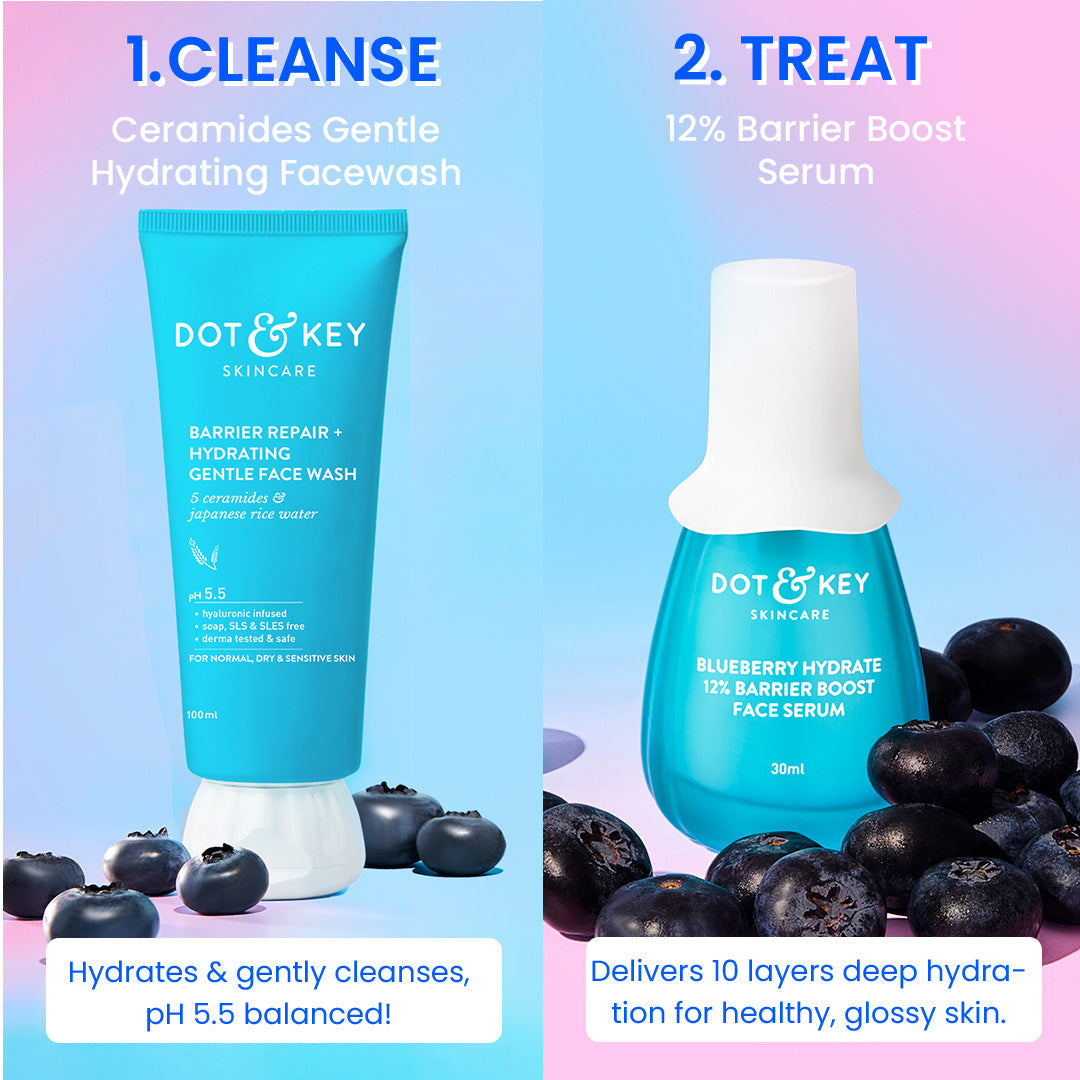 Barrier Repair CSMS Routine 310g