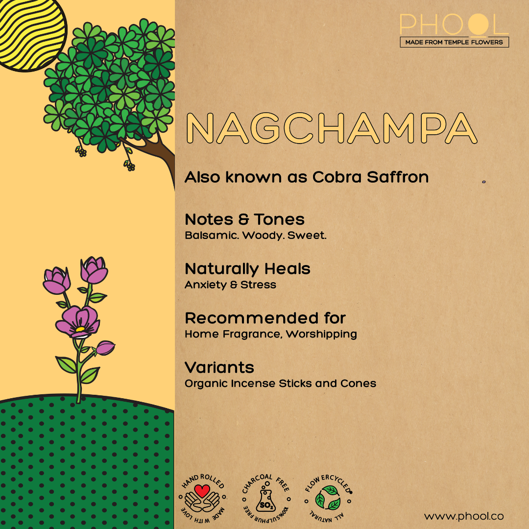 Natural Incense Cones – Nagchampa