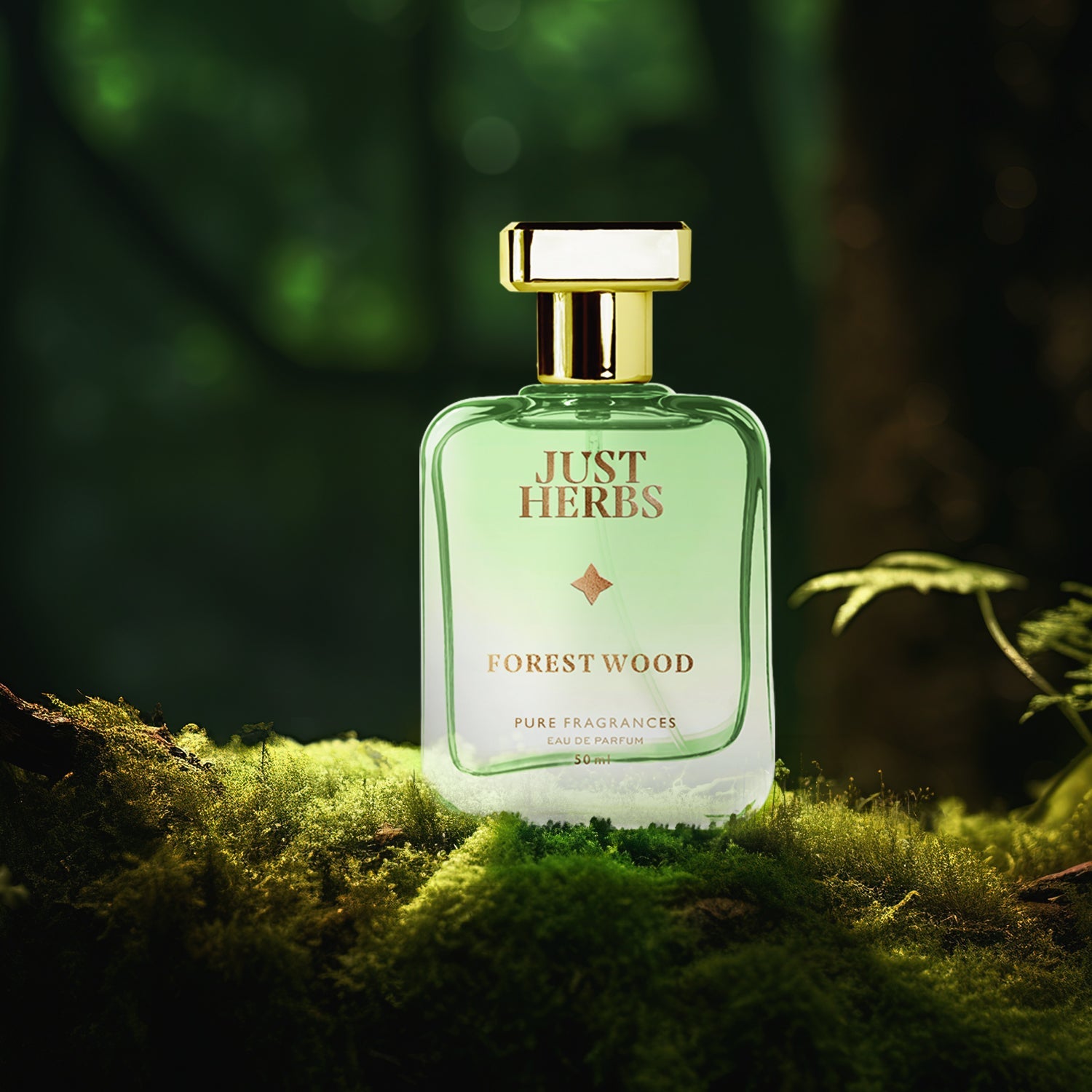 Energising Forest Wood 50ml
