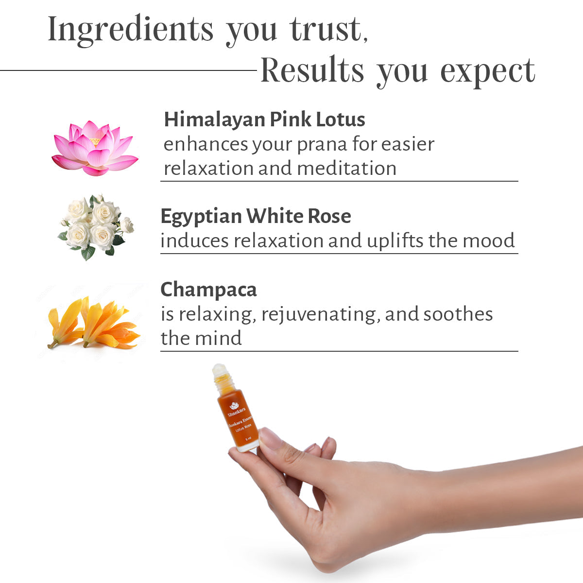 Shankara Essence Lotus Rose - 5ml by Shankara 5ml