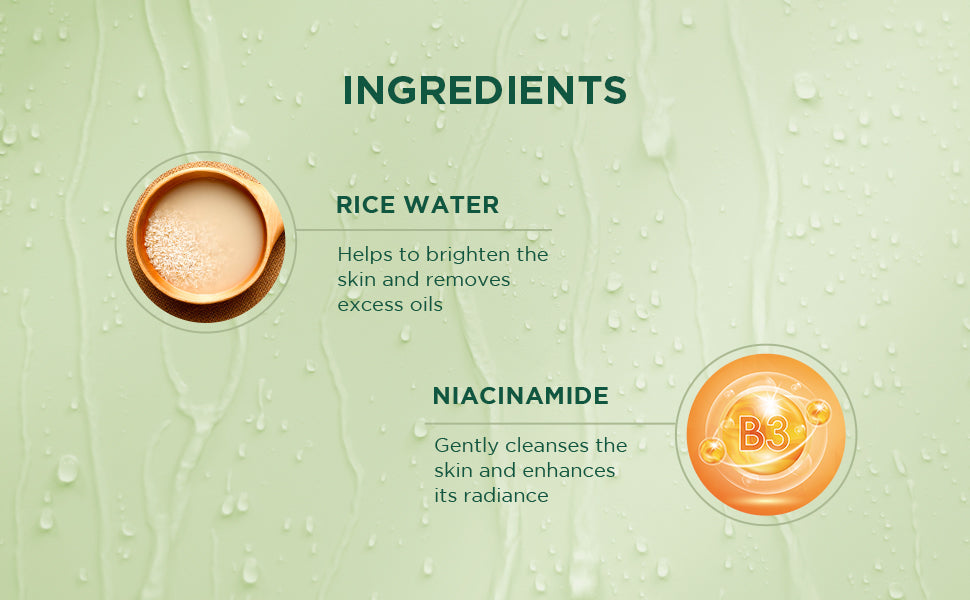【Biotique】 RICE WATER & NIACINAMIDE Gel Face Wash 100ml (Pack of 2)｜ライスウォーター ナイアシンアミド ジェル 洗顔料 2本セット｜100ml×2