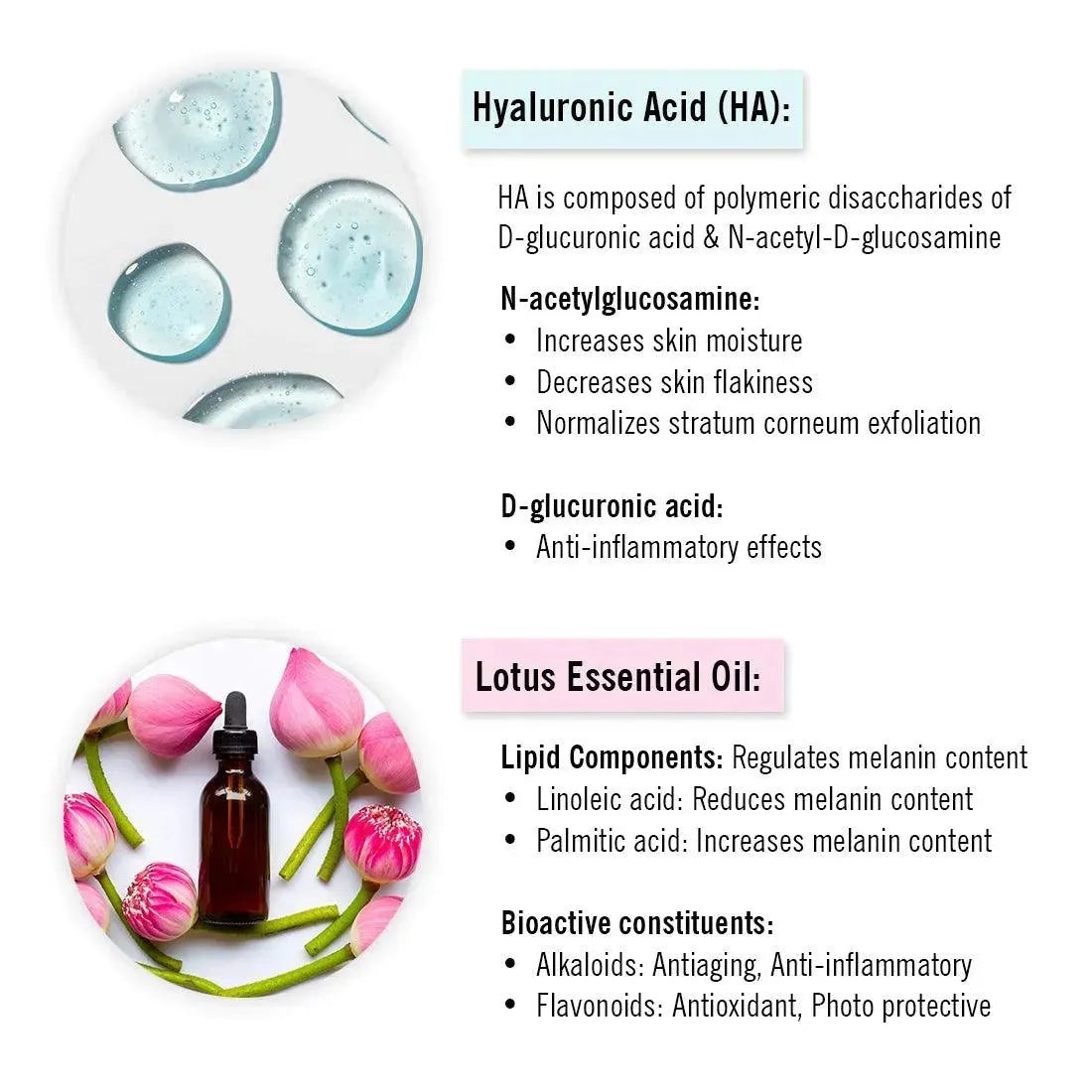 Hyaluronic Lotus Hydrating Gel Moisturizer, Pentavitin + Beet Root Extract, NMFs + Lipids, Intense Moisturization & Skin Barrier Repair 50ml
