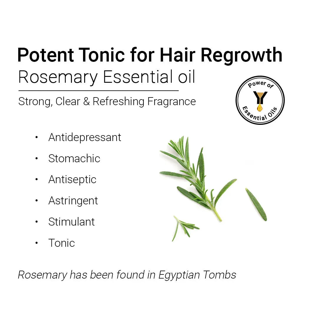 Rosemary Essential Oil, Natural Therapeutic Grade, Hair Growth, Hair Fall Control & Nourishment, Even Skin Tone 10ml 10ml