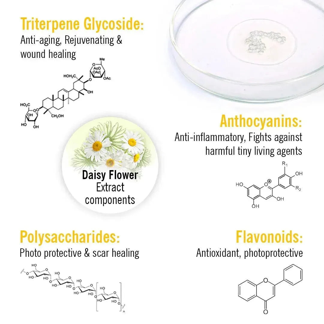 Skin Lightening Face Serum, Daisy Flower + Alpha Arbutin + Mulberry Root, Brightening & Glowing, Hyperpigmentation, Melanogenesis, with Hyaluronic Acid 30ml