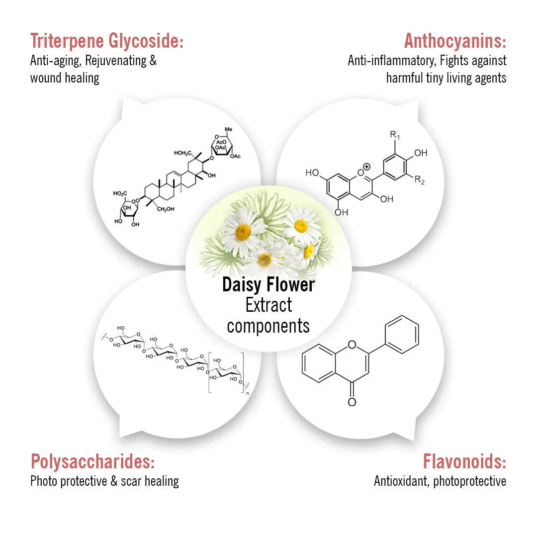 Skin Lightening Spot Serum, Daisy Flower + Alpha Arbutin + Mulberry Root, Dark Spots & Brightening, Hyperpigmentation, with Sodium Ascorbyl Phosphate 8ml