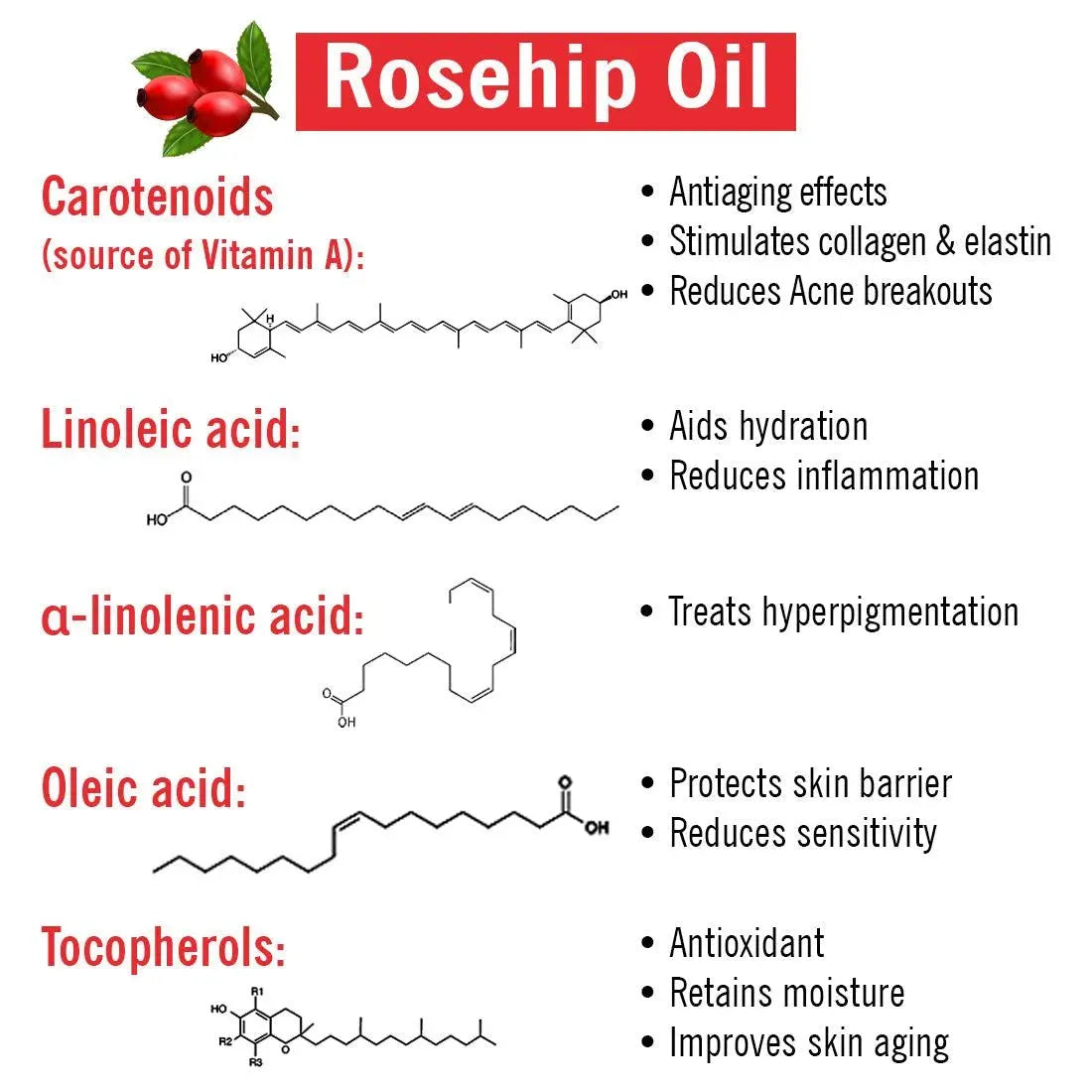 Rosehip + Bakuchiol Serum, Phyto Retinol + Omega Fatty Acids + Vitamin A, Anti-Ageing Wrinkles Fine Lines Brightening Scars, Hyaluronic Acid + B5 30ml