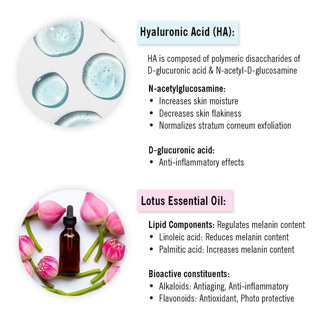 Hyaluronic Lotus Hydrating Facewash, 2 % Pentavitin + Natural Glucoside Foaming, NMFs + Lipids, Skin Barrier Repair, Gentle SLS Free 100ml x 3