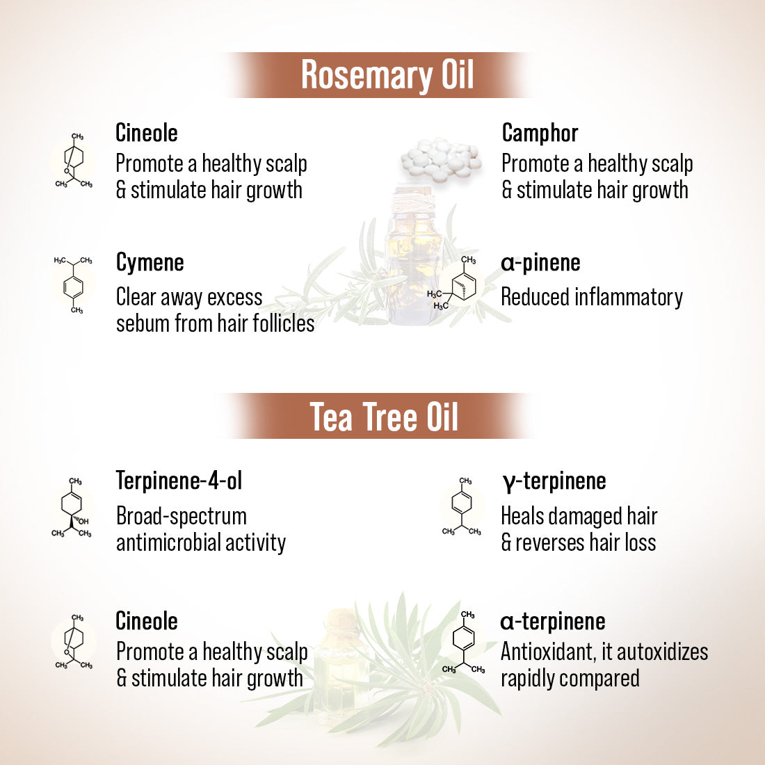 Hair Growth Oil Treatment Kit – Moisture Boost Shampoo & Alopex Long N Strong Hair Oil with Rosemary, Tea Tree, Honey & Provitamin B5 for Hydration, Strength & Hair Growth 300ml