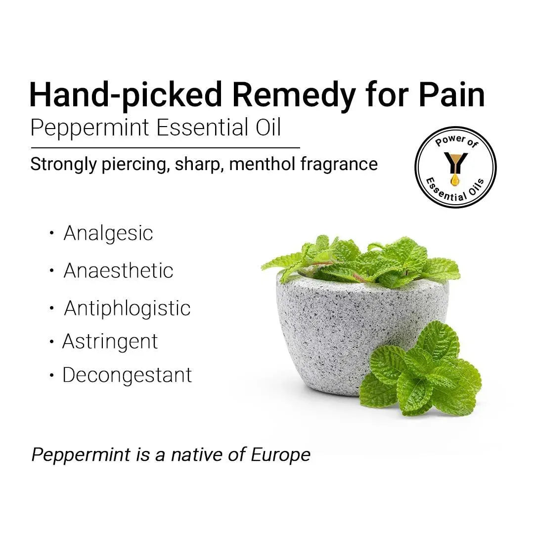 Peppermint Essential Oil Natural Therapeutic Grade, Cooling and Pain Reliving, Decongestant, Stress Relief,10ml 10ml