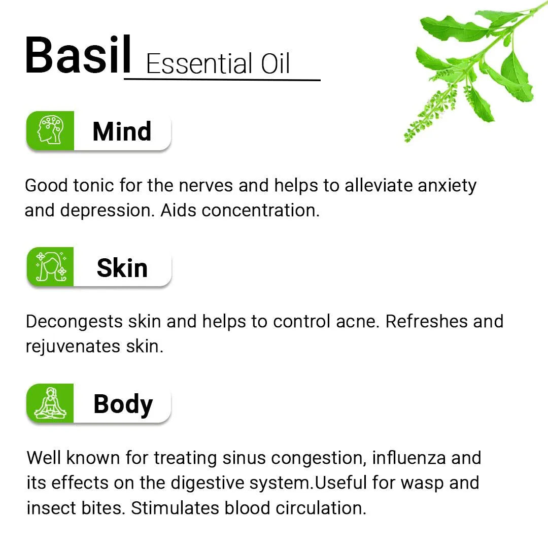 Basil Essential Oil, Therapeutic, Pure & Natural, Holy Basil (Tulsi) Spiritual Concentration, Headache, Digestive & Antiseptic 10ml 10ml