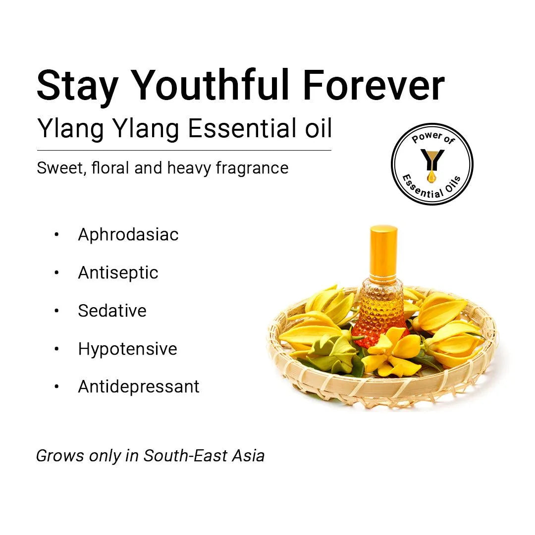 Ylang Ylang Essential Oil, Therapeutic Pure & Natural, Romantic, Relaxing, Antidepressant, Skin & Hair Tonic,10ml 10ml