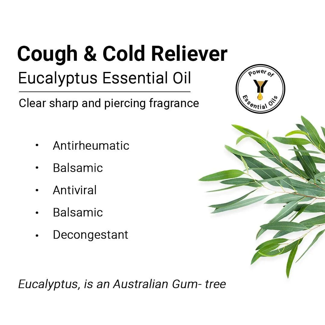 Eucalyptus Essential Oil, Therapeutic, Pure & Natural, Headache, Sinus, Nasal Congestion, Cold & Cough, Antiseptic & Insecticide 10ml 10ml