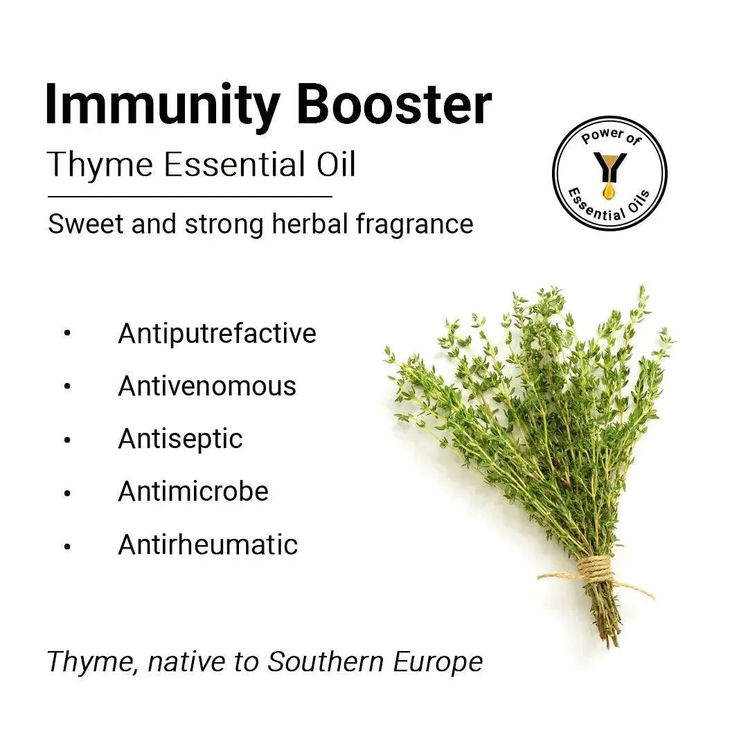 Thyme Essential Oil, Therapeutic Pure & Natural, Antimicrobe, Antiseptic, Immunity Booster, Digestive 10ml 10ml