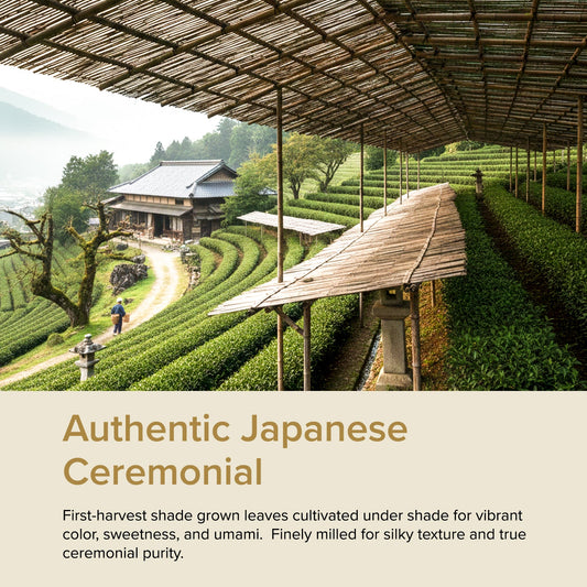 【VAHDAM】 Ceremonial Matcha Green Tea, 30 g｜セレモニアル マッチャ グリーンティー｜30 g
