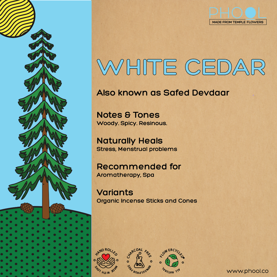 Natural Incense Cones – White Cedar