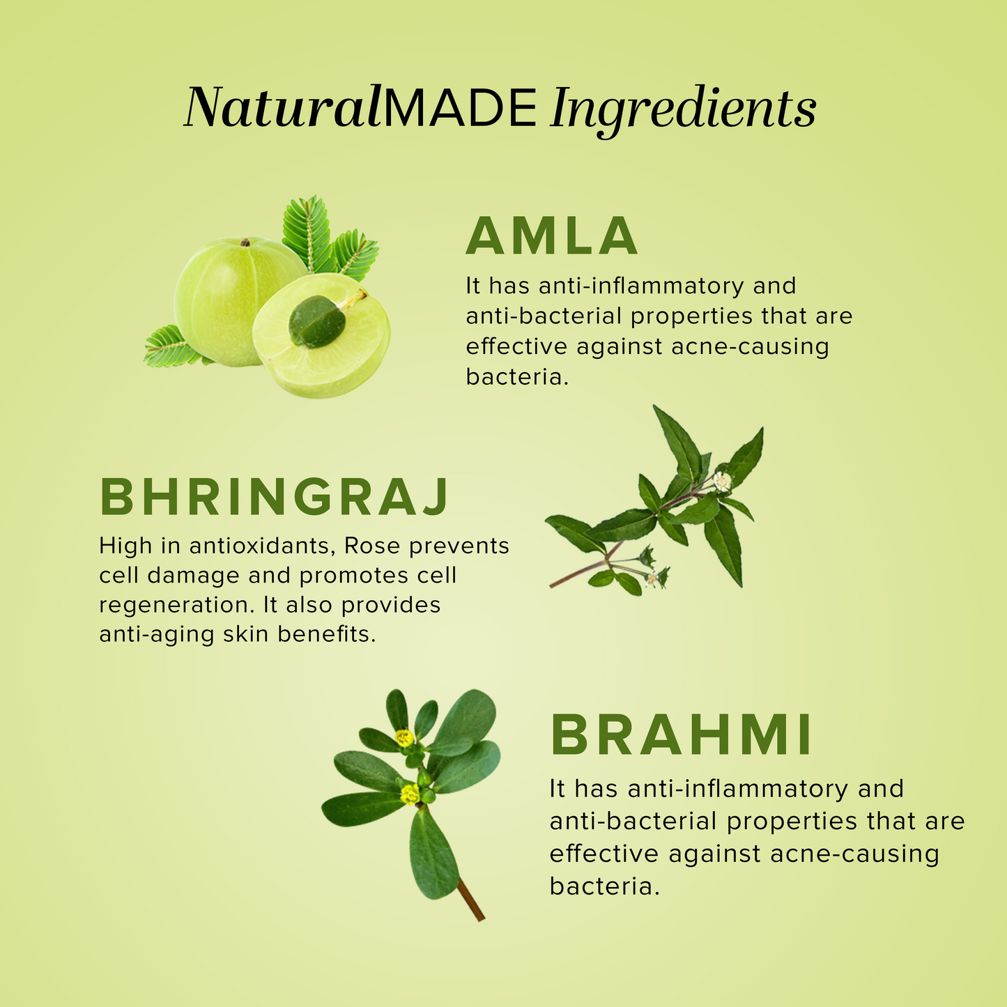 Amla Hair Care Pack 210ml Each