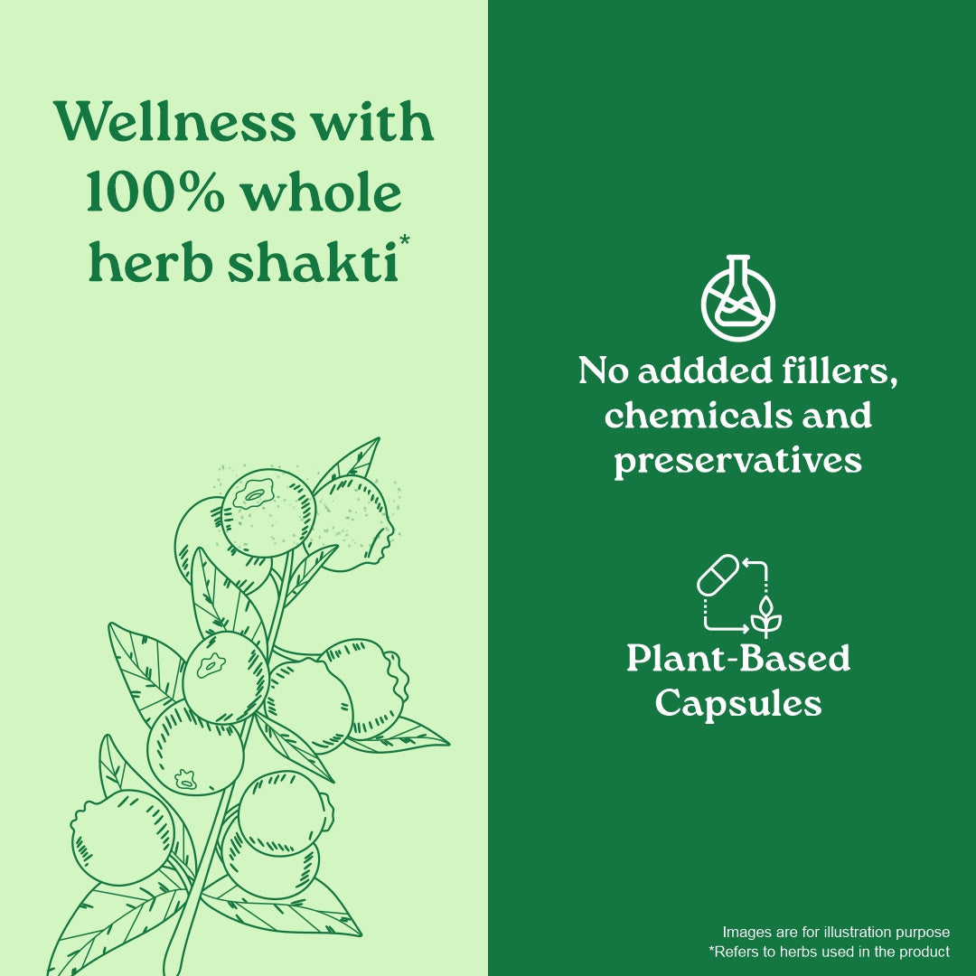 Garcinia Cambogia Capsules