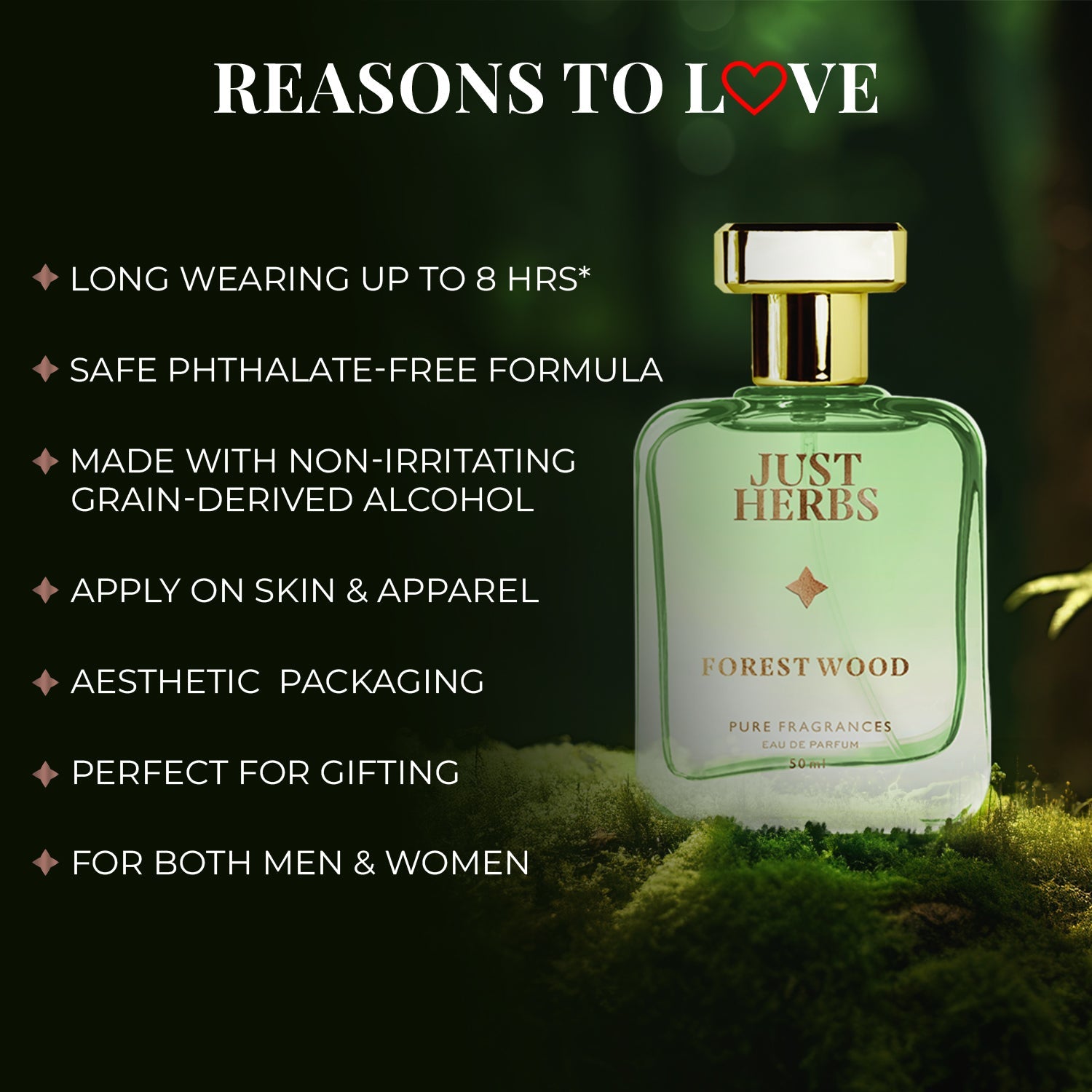 Energising Forest Wood 50ml