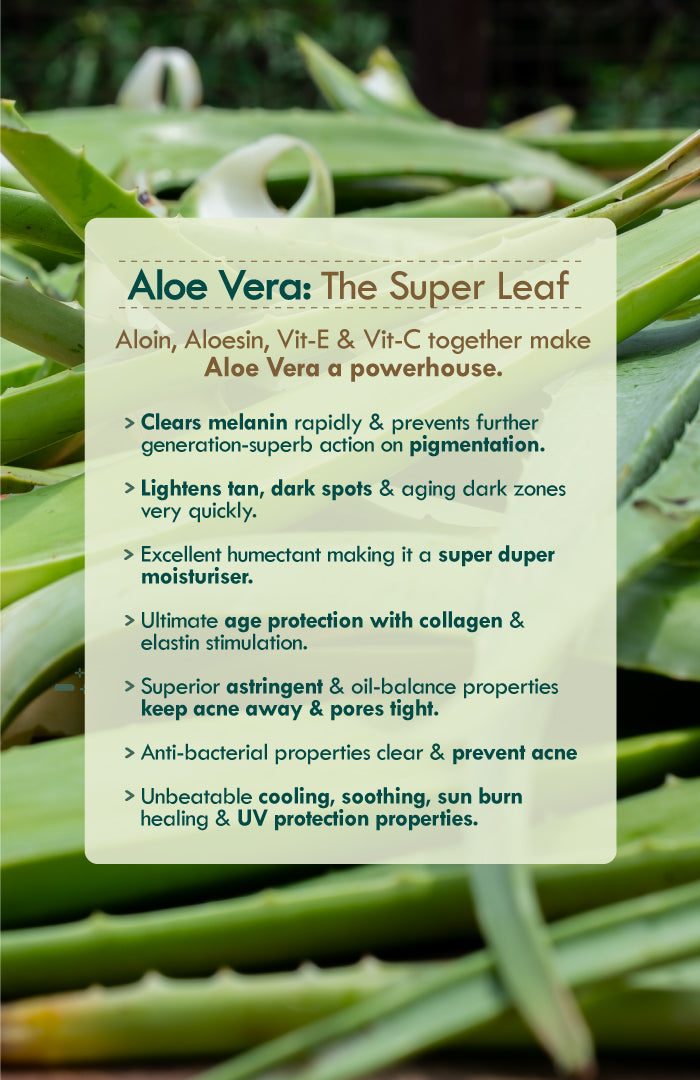 Active Aloe Cactus Hydra Lift Gel Moisturiser 50g × 2