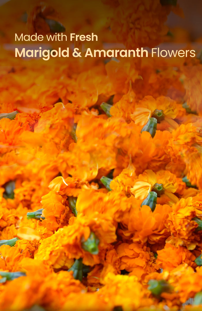 Marigold Chhalak Gulaal Raas Combo Pack of 2