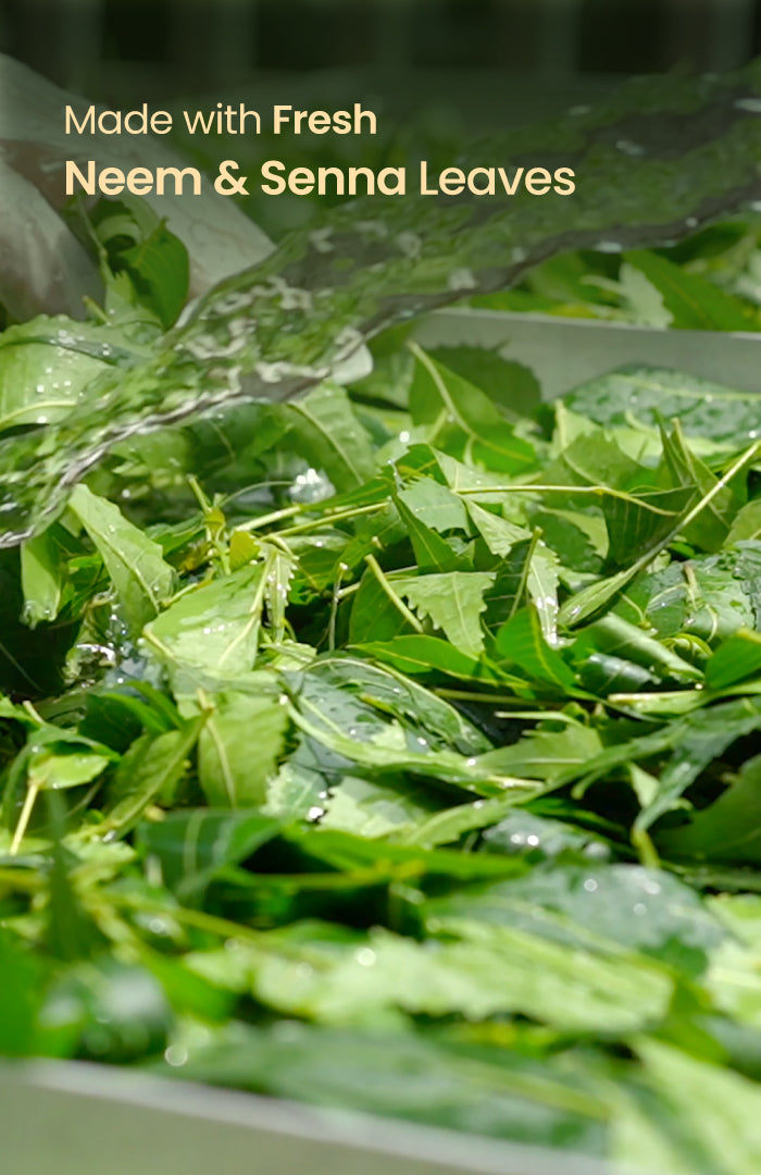 Neem Mauj Gulaal Raas 50g x 2