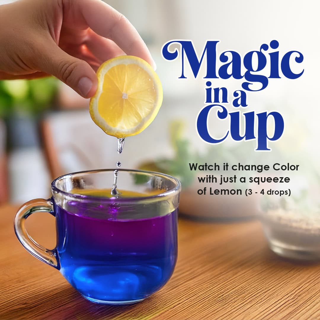 Butterfly Pea Flower Herbal Tea - 200 Teabags 200 Tea Bags