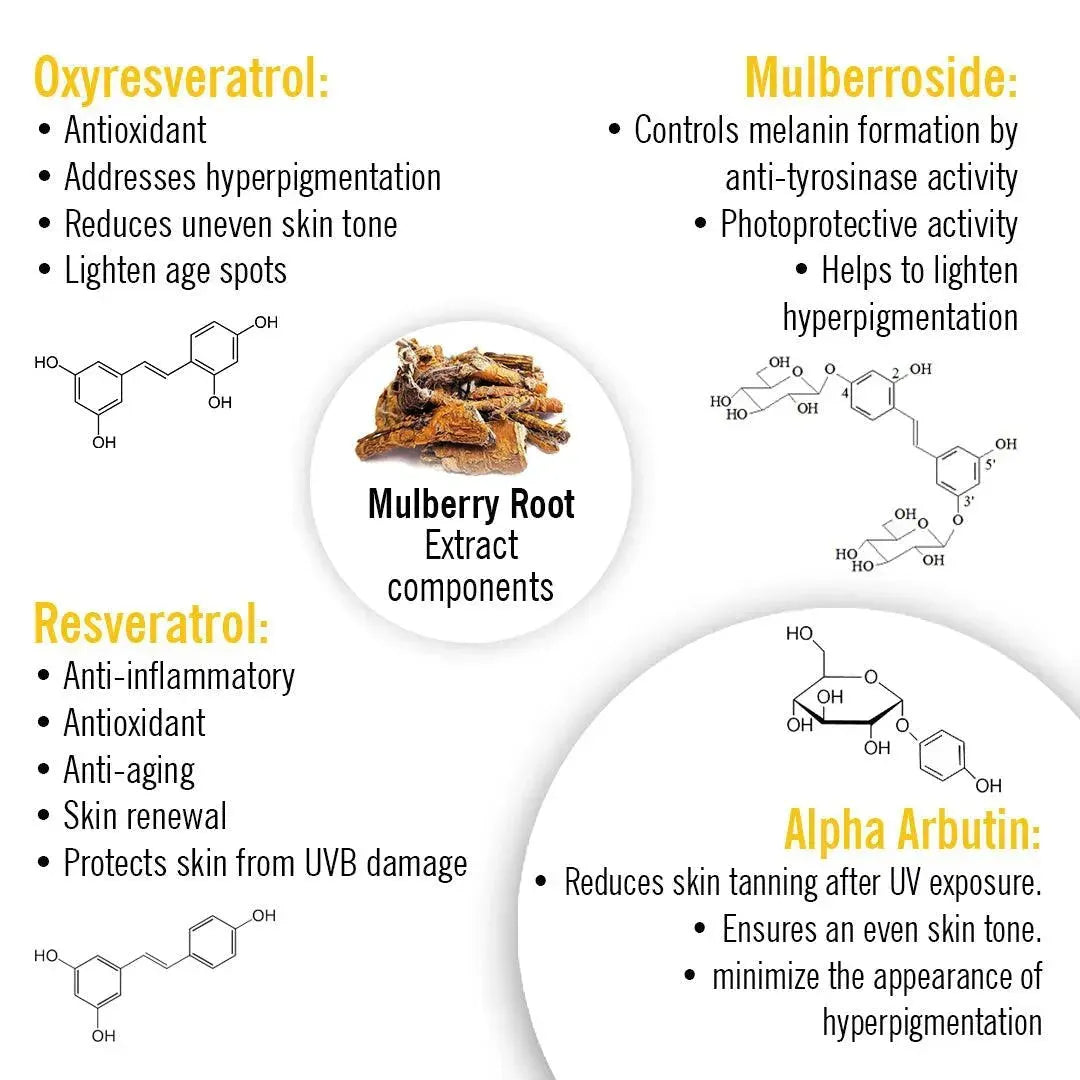 Skin Lightening Face Serum, Daisy Flower + Alpha Arbutin + Mulberry Root, Brightening & Glowing, Hyperpigmentation, Melanogenesis, with Hyaluronic Acid 30ml