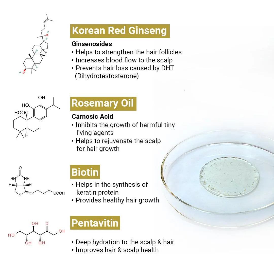 Absolute Hair Growth Serum Treatment Kit–Shampoo & Solution with Biotin, Rosemary & Ginseng 300ml x 3