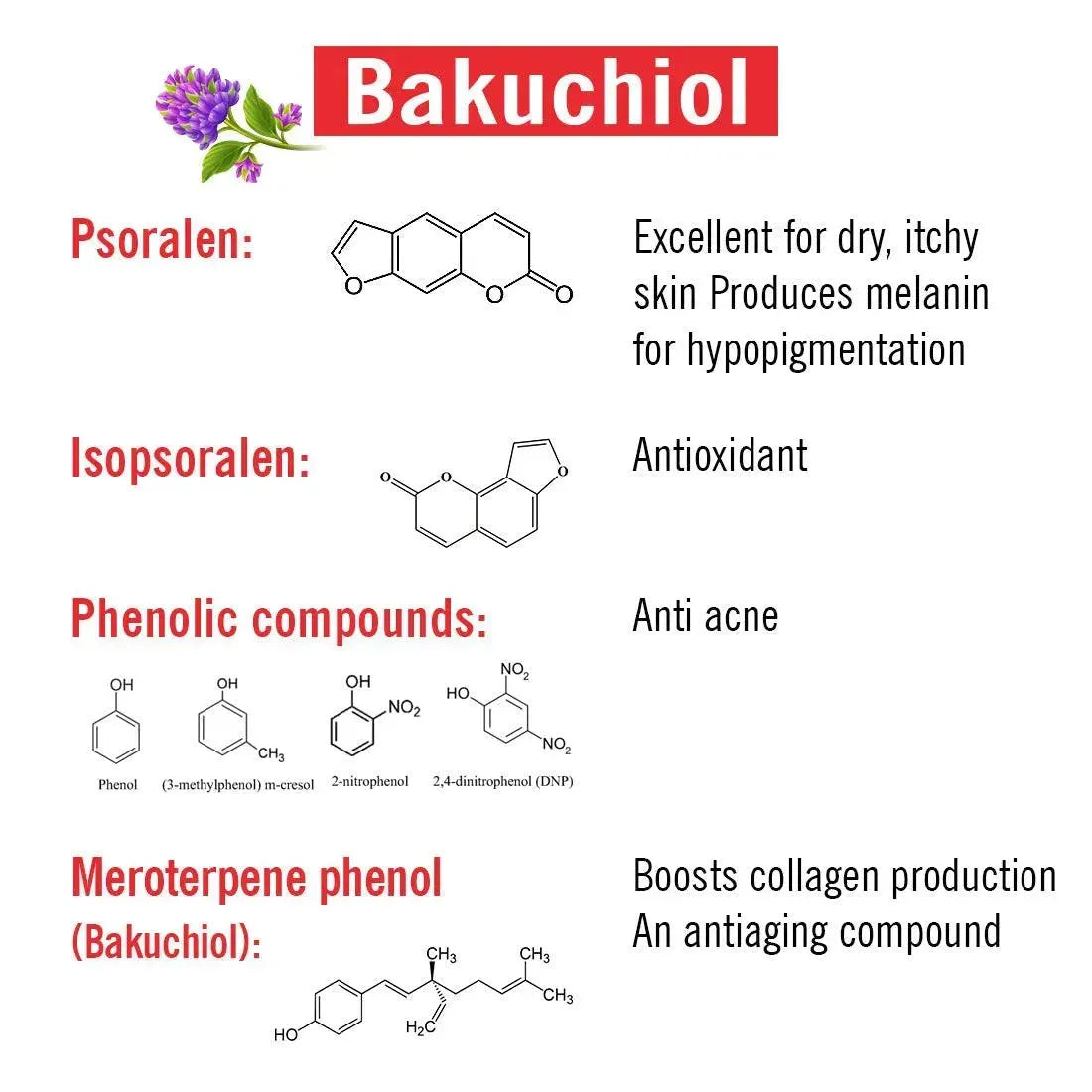 Rosehip + Bakuchiol Serum, Phyto Retinol + Omega Fatty Acids + Vitamin A, Anti-Ageing Wrinkles Fine Lines Brightening Scars, Hyaluronic Acid + B5 30ml