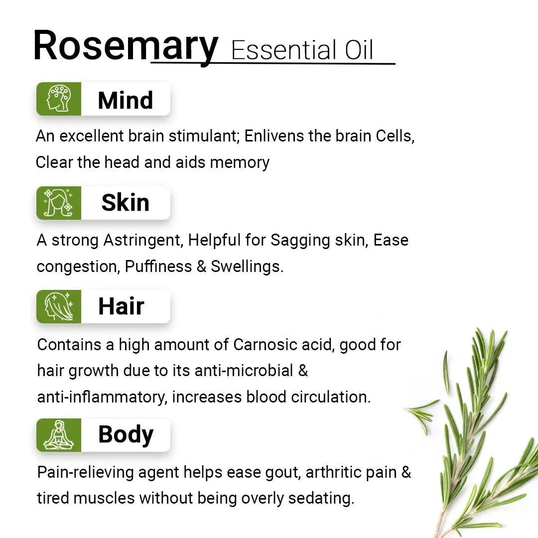 Rosemary Essential Oil, Natural Therapeutic Grade, Hair Growth, Hair Fall Control & Nourishment, Even Skin Tone 10ml 10ml