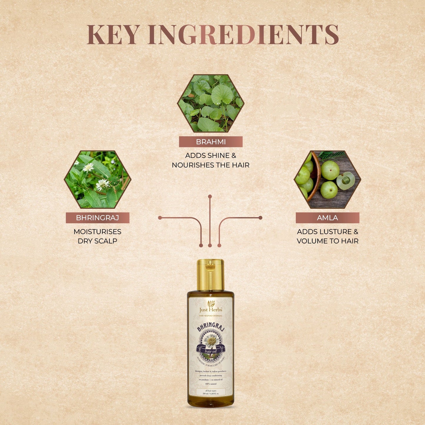 Bhringraj Tail 100ml