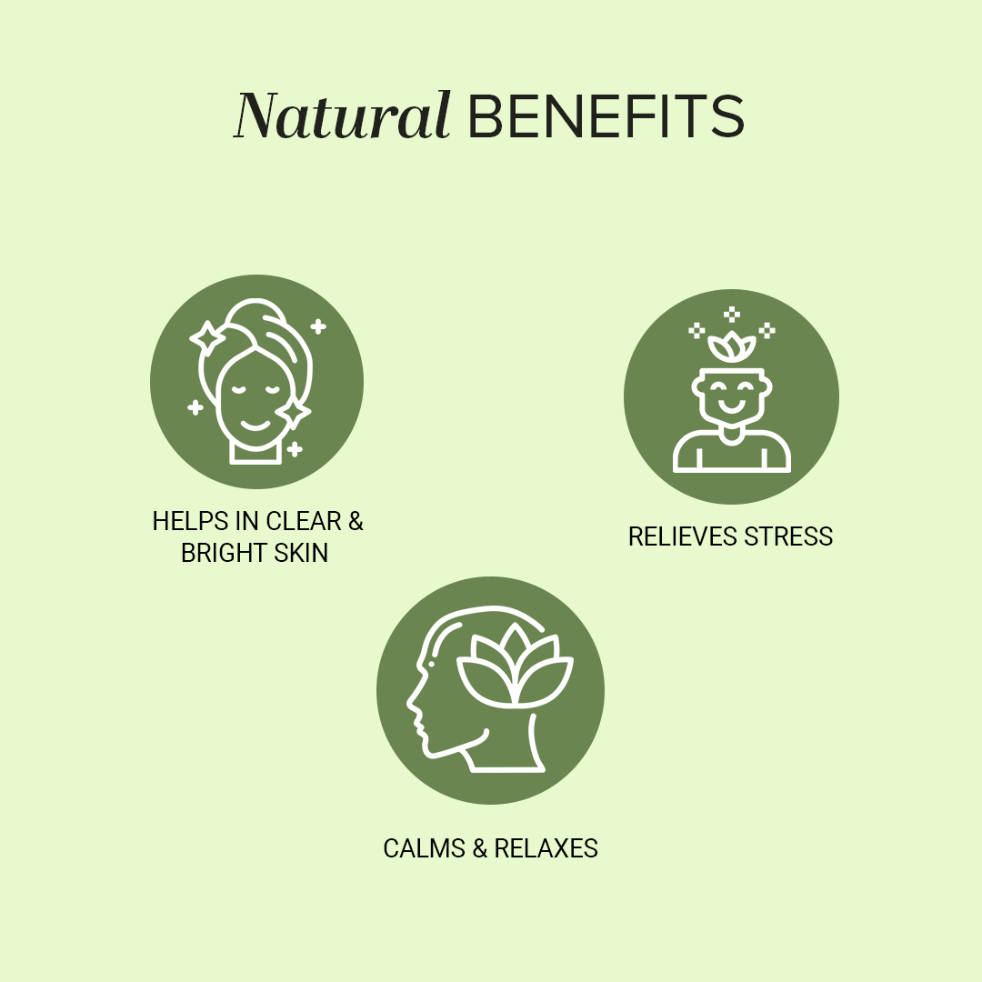 Basil - Pure Essential Oil 15ml