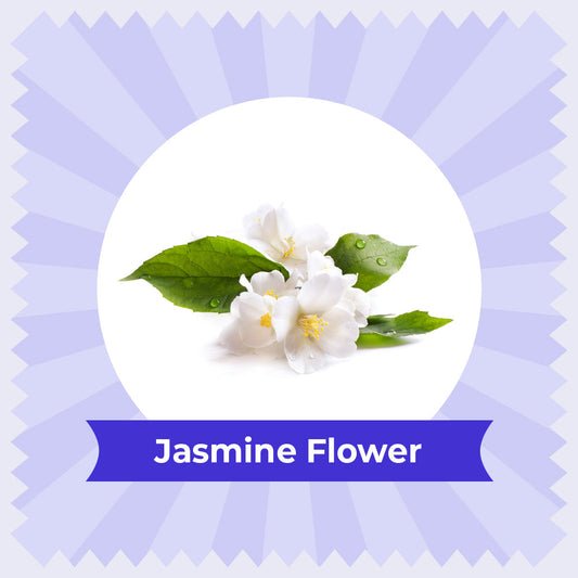 Jasmine Herbal Tea  - 30g (Pack of 2) 30G