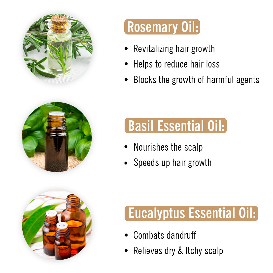 Alopex Hair Oil for Hair Nourishment || Enriched with Basil, Eucalyptus , Lemongrass, Rosemary & Lavender 200g