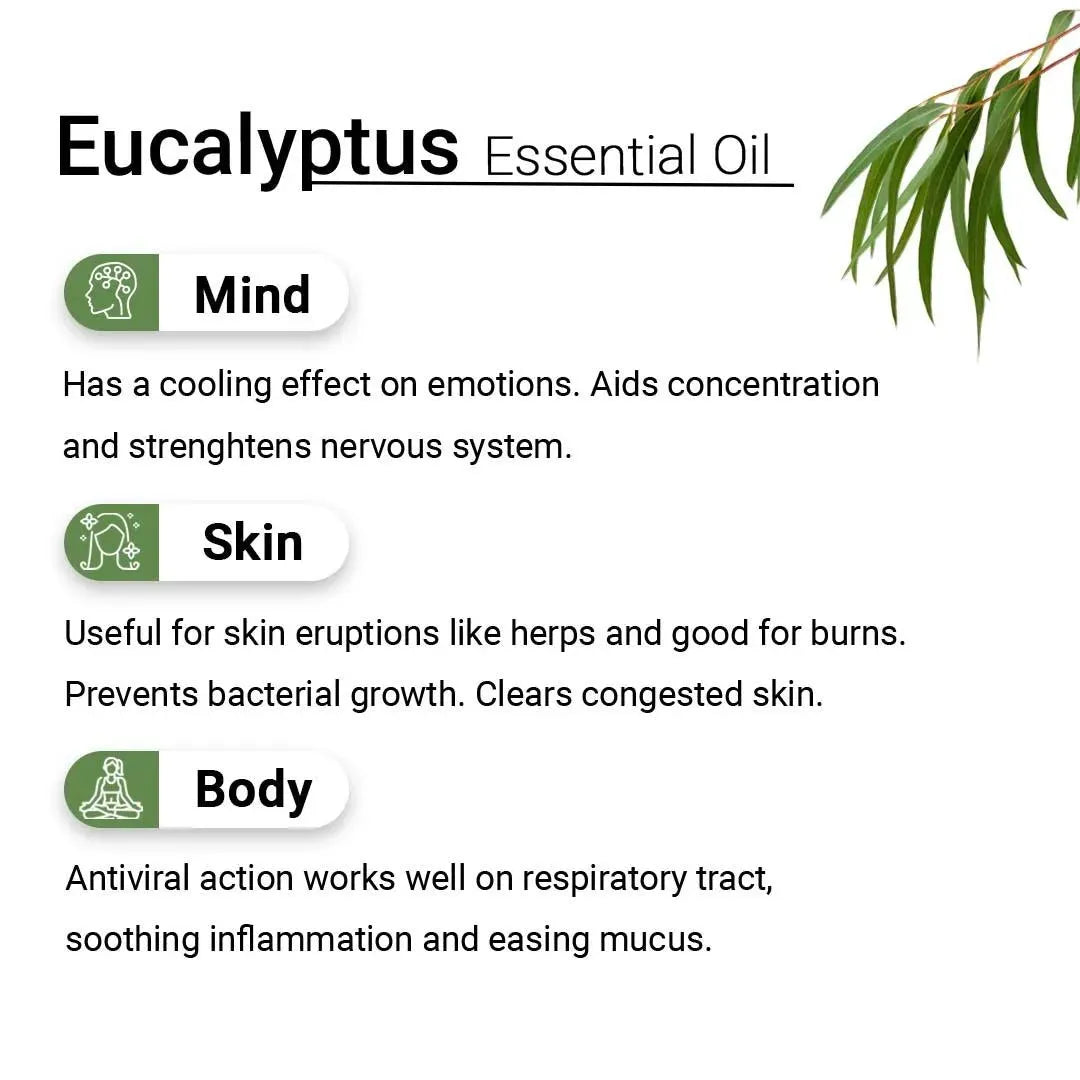 Eucalyptus Essential Oil, Therapeutic, Pure & Natural, Headache, Sinus, Nasal Congestion, Cold & Cough, Antiseptic & Insecticide 10ml 10ml