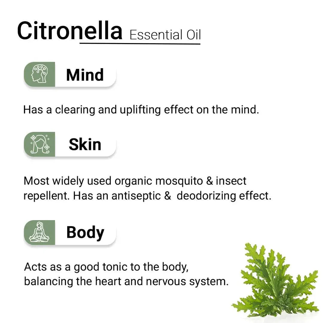 Citronella Essential Oil, Therapeutic, Pure & Natural, Insect & Mosquito Repellent, Antiseptic, Mood Up lifter 10ml 10ml