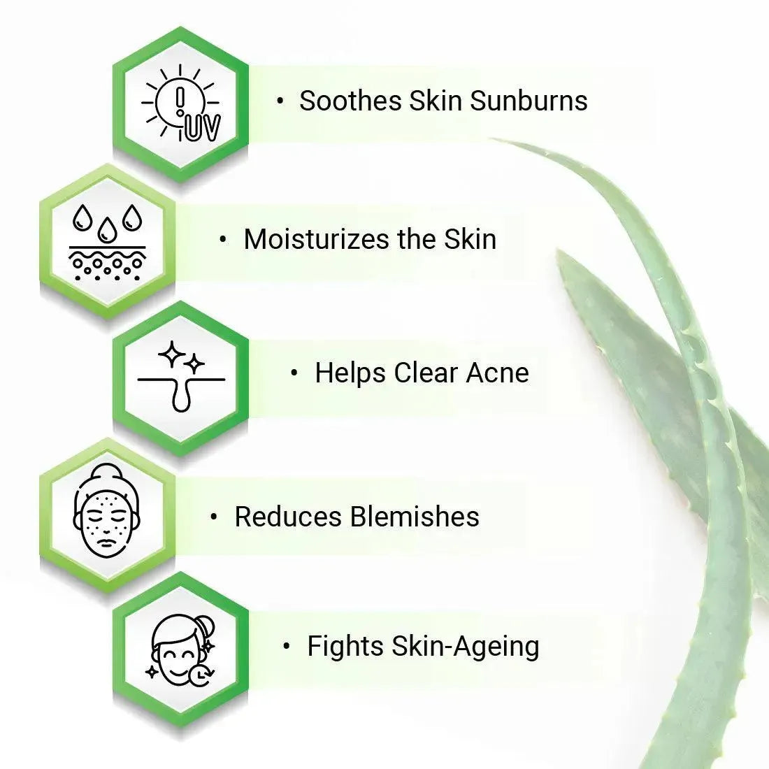 Aloe Vera Essential Skin Care Routine Kit for All Skin Types for Men & Women I Facewash + Gel Moisturizer, Soothes & Repairs Skin I Pure Aloe Vera Gel. 300ml