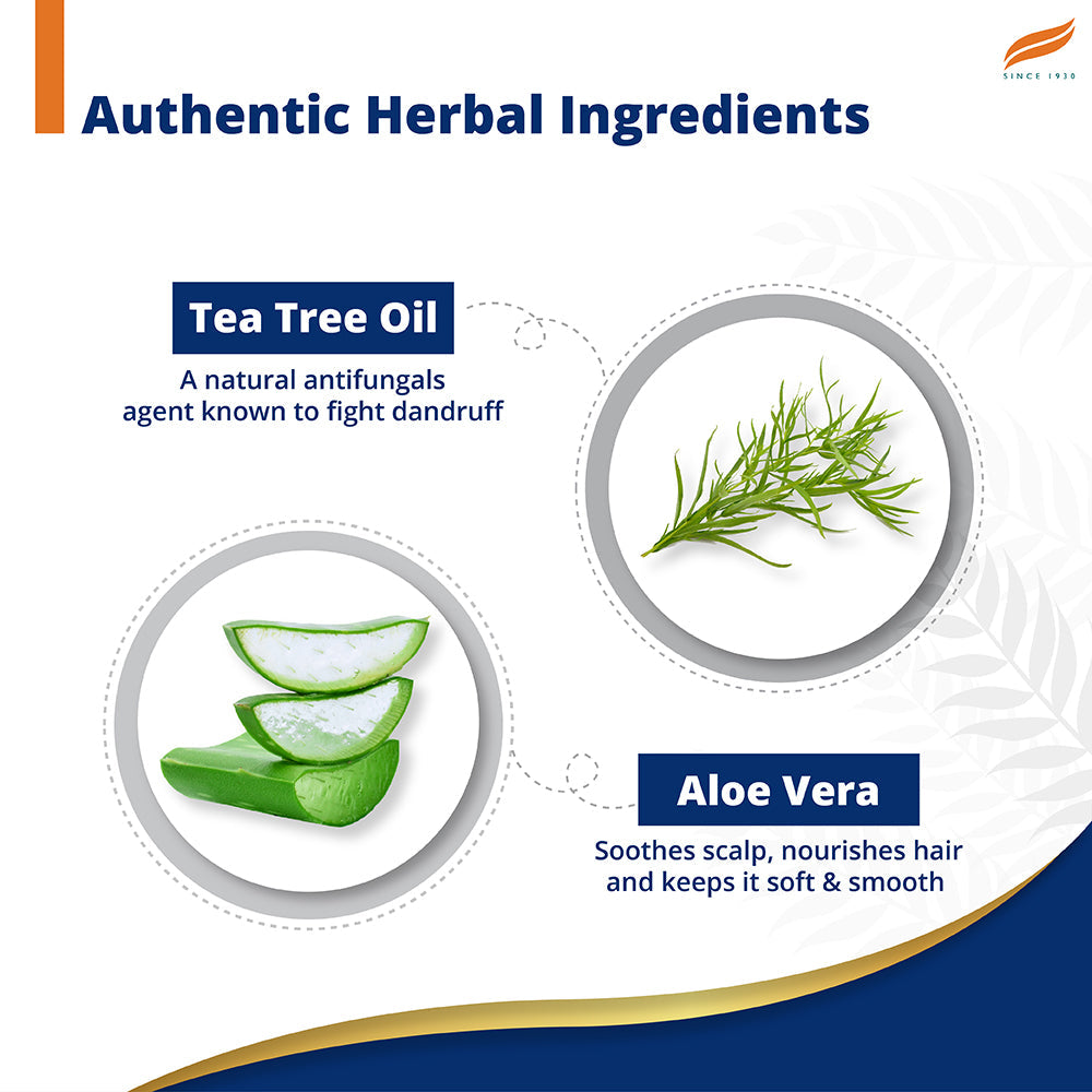 Himalaya Anti-Dandruff Tea Tree Shampoo 340ml