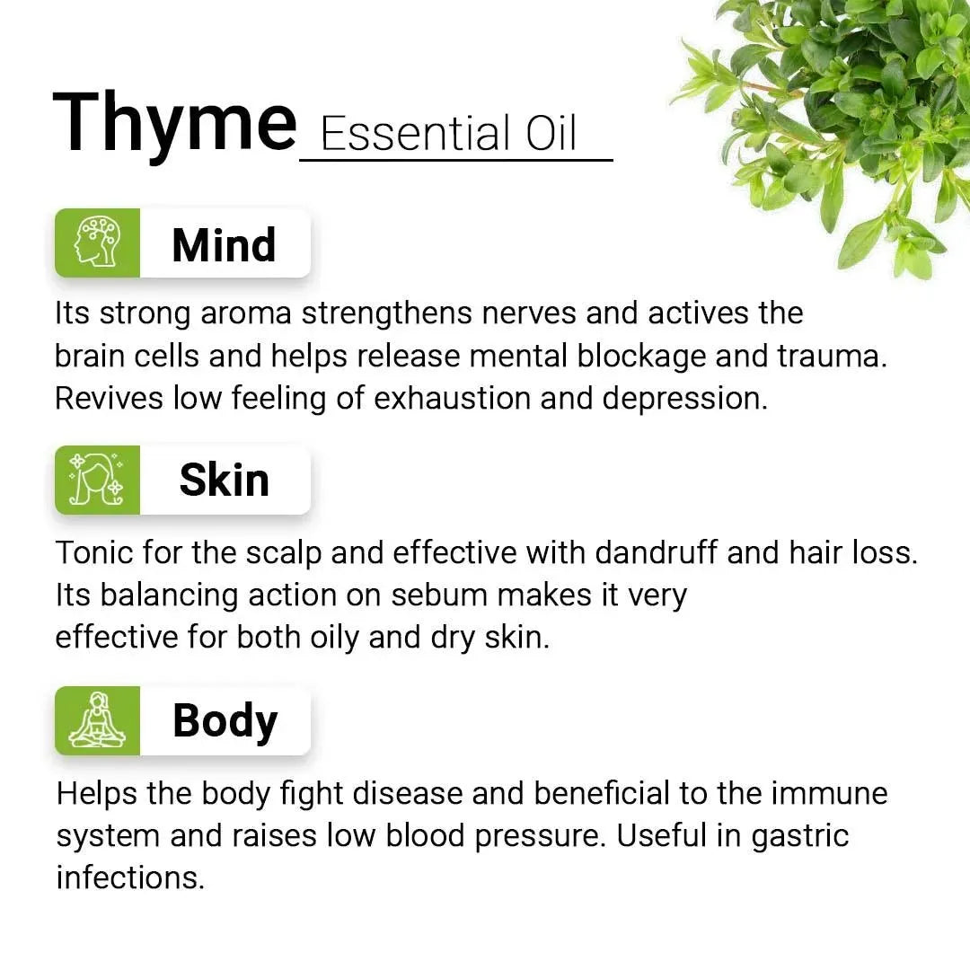 Thyme Essential Oil, Therapeutic Pure & Natural, Antimicrobe, Antiseptic, Immunity Booster, Digestive 10ml 10ml