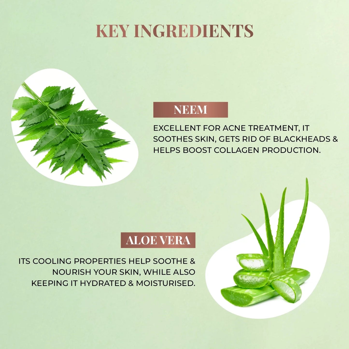 Plant Salicylic Acid Foaming Face Wash with Neem & Aloe Vera 100ml