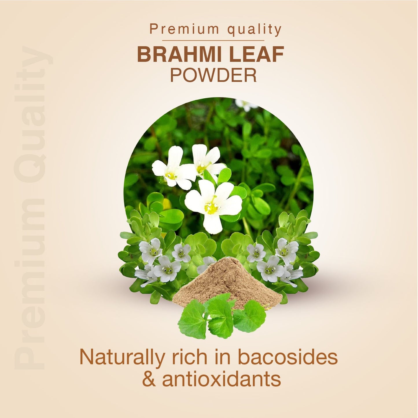 Brahmi Powder | Pure Bacopa monnieri Brain Tonic for Memory, Focus & Stress Relief | Antioxidant-Rich Ayurvedic Support for Cognitive Function, Mental Clarity & Immunity | Net Qty: 200g 200g
