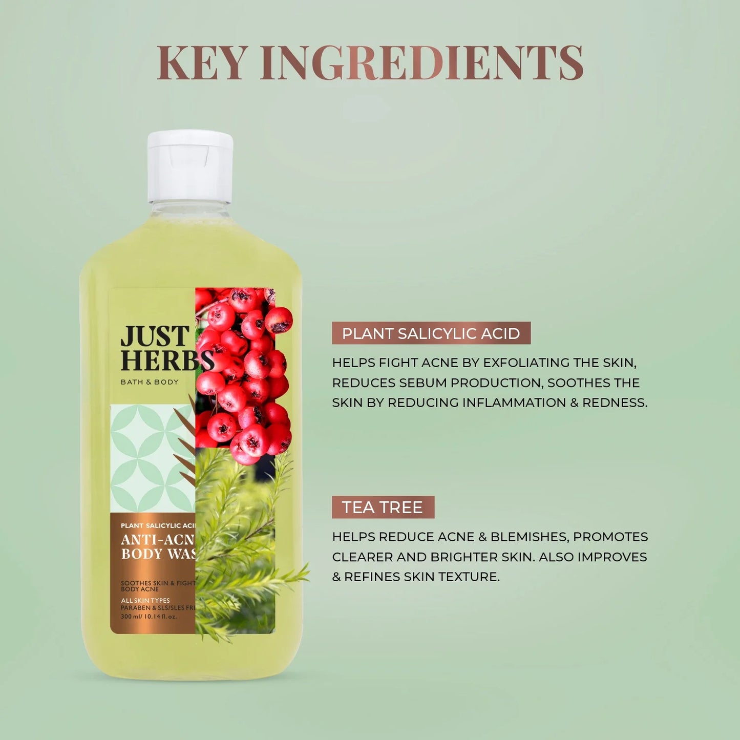 Tea Tree Anti-acne Body Wash with Plant Salicylic Acid 300ml