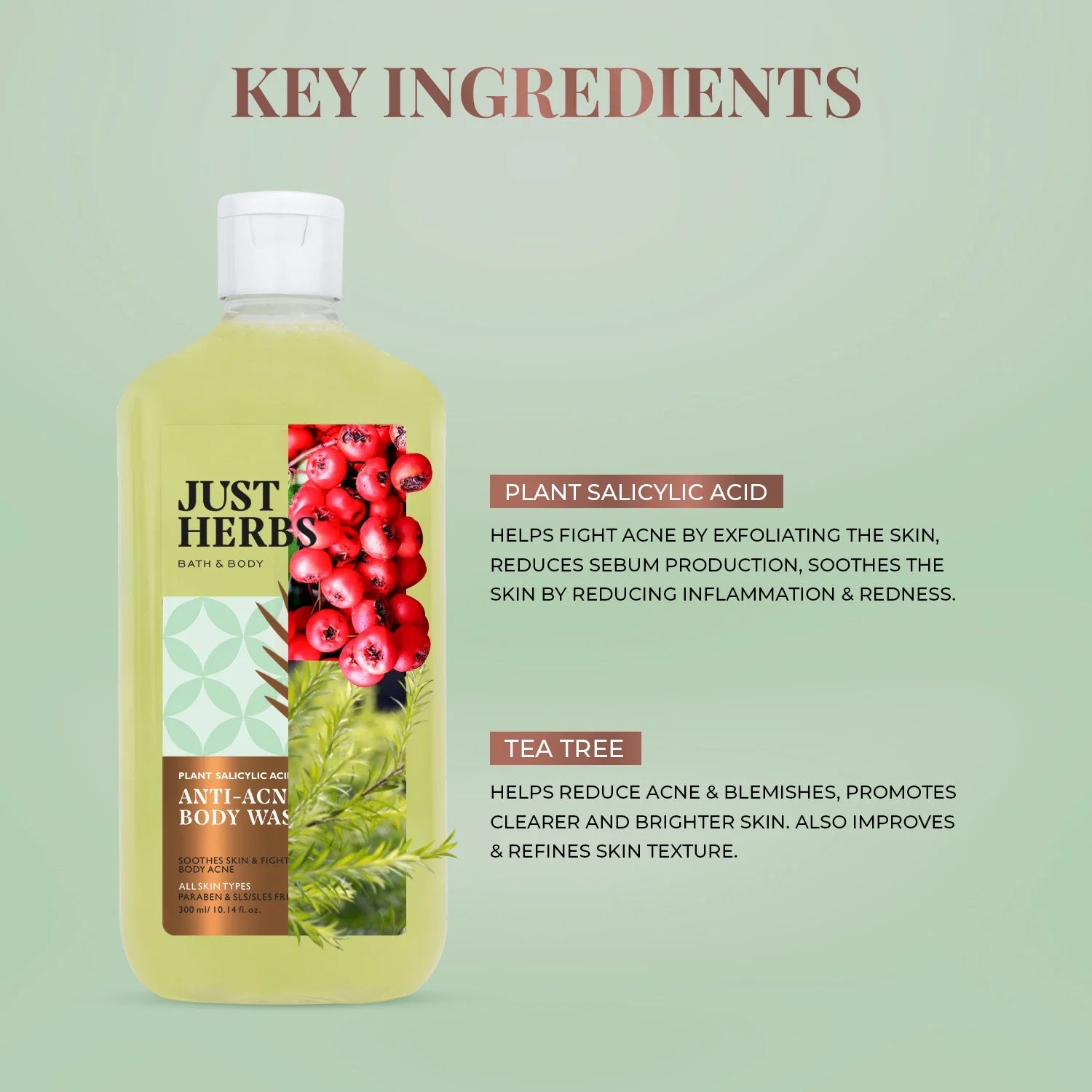 Tea Tree Anti-acne Body Wash with Plant Salicylic Acid 300ml