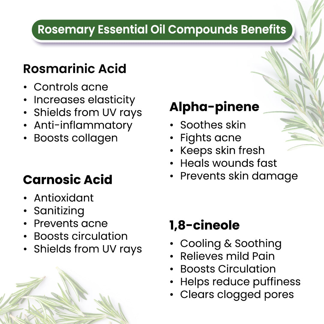 Rosemary Body Oil –  Stress Relieving, Anti-Ageing & Soothing For Glowing Skin; Non-Sticky, Quick-Absorbing 400ml