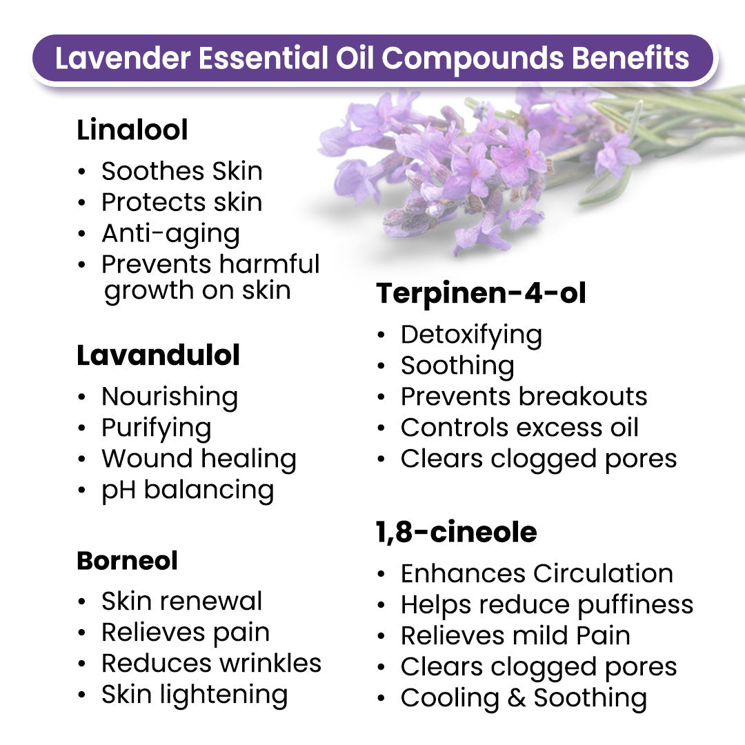 Lavender Body Oil - Deep Moisturizing, Anti-Acne, Soothing For Glowing Skin; Non Sticky, Quick Absorbing 400ml