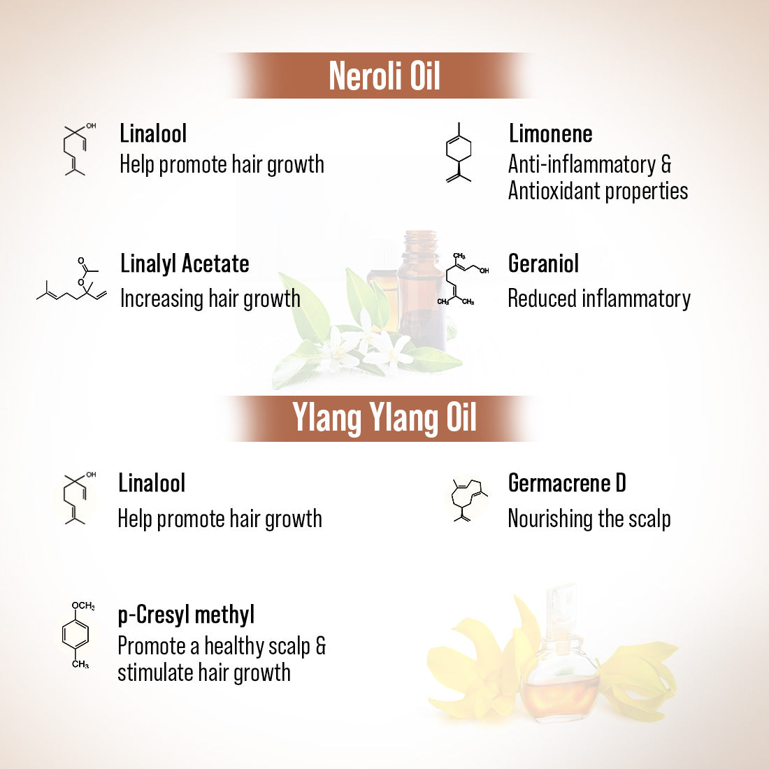 Hair Growth Oil Treatment Kit – Moisture Boost Shampoo & Alopex Long N Strong Hair Oil with Rosemary, Tea Tree, Honey & Provitamin B5 for Hydration, Strength & Hair Growth 300ml