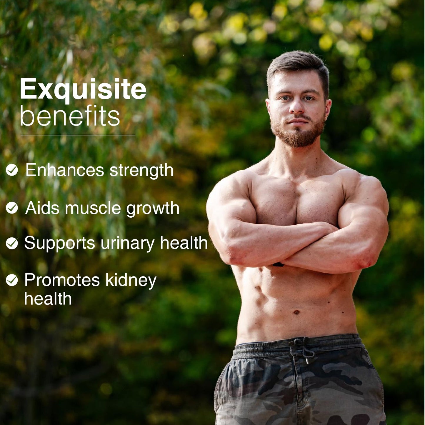 Gokhru Powder | Pure Ayurvedic Tribulus terrestris for Strength, Stamina & Vitality | Supports Muscle Growth, Kidney & Urinary Health | Natural Energy & Performance Booster | Net Qty: 200g 200g